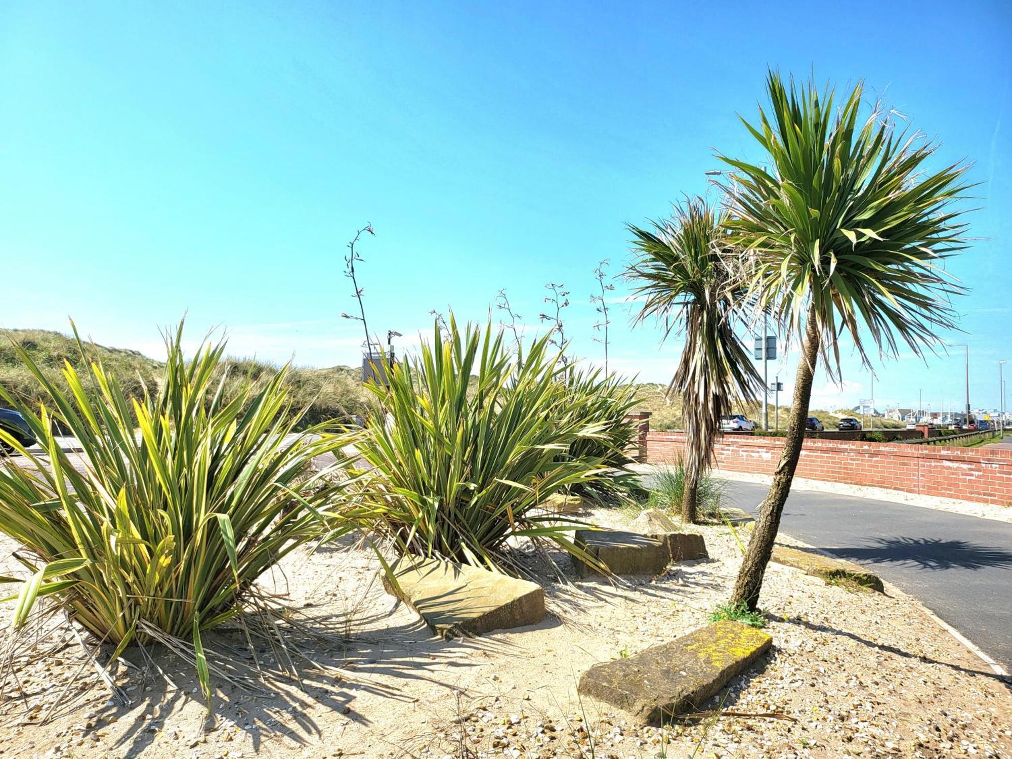Seaside Beach Themed Home With Garden And Driveway Lytham St. Annes Eksteriør bilde